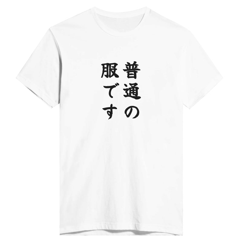 普通の服です