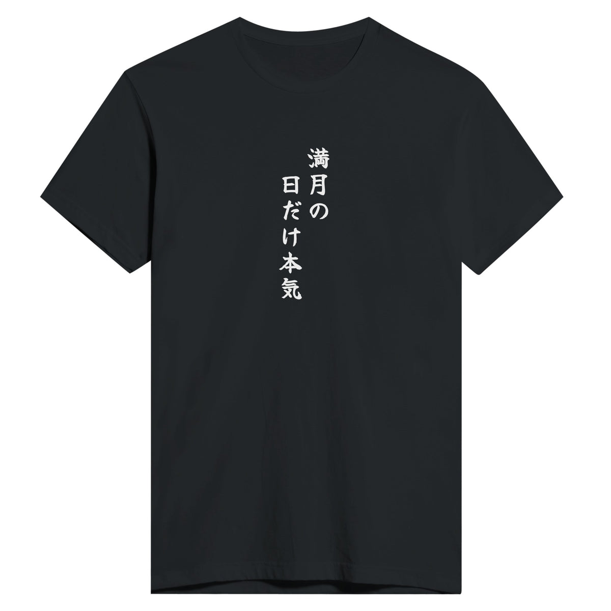 満月の日だけ本気 もう一方のカラー