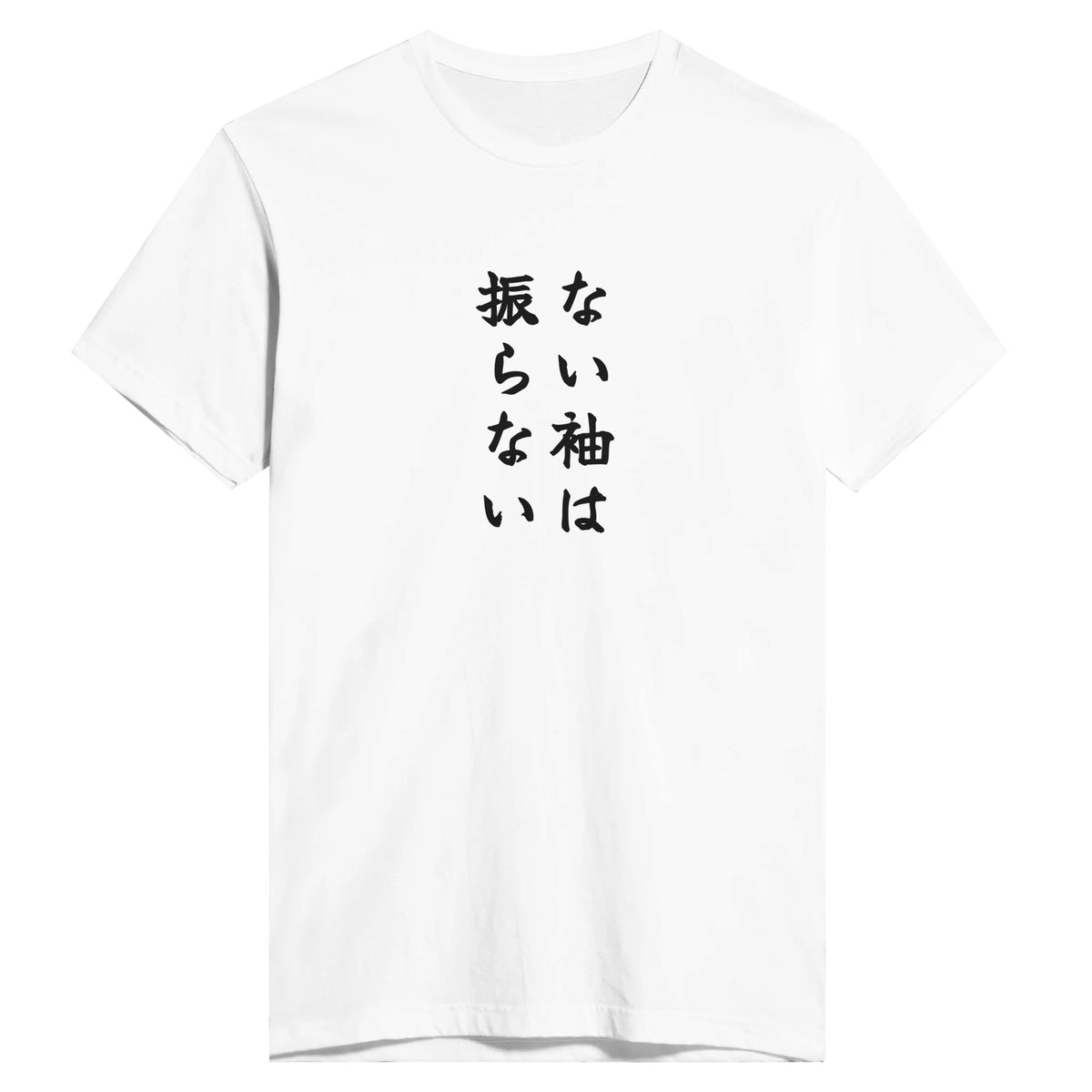 ない袖は振らない