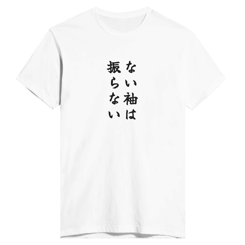 ない袖は振らない