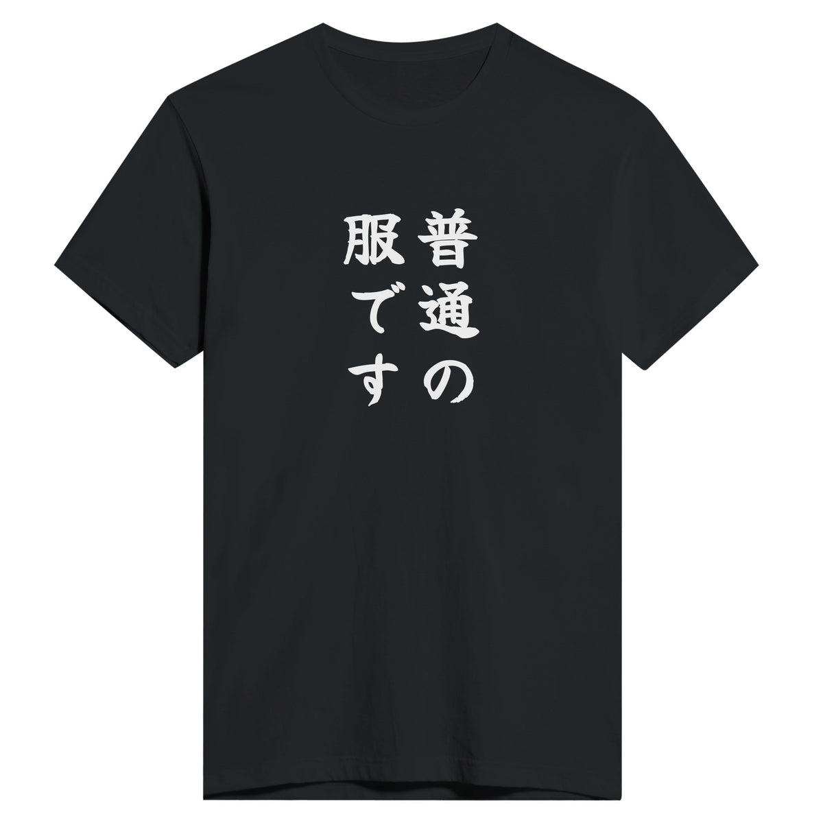 普通の服です もう一方のカラー