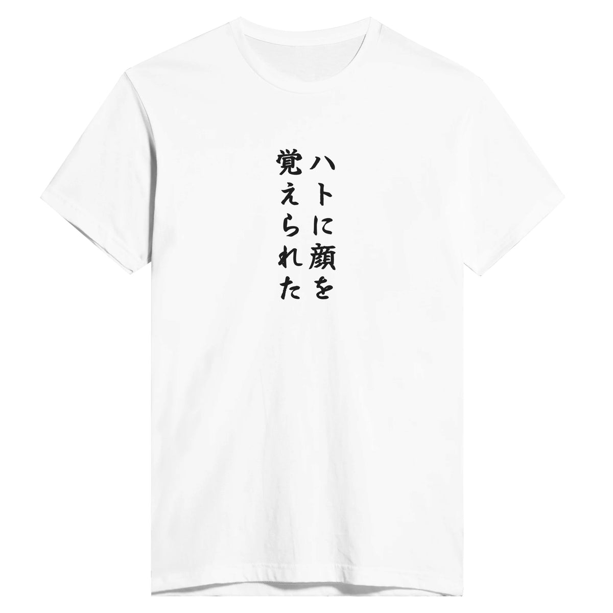 ハトに顔を覚えられた