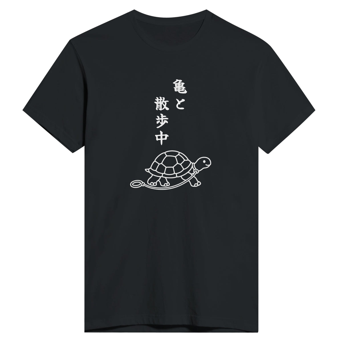 亀と散歩中 もう一方のカラー