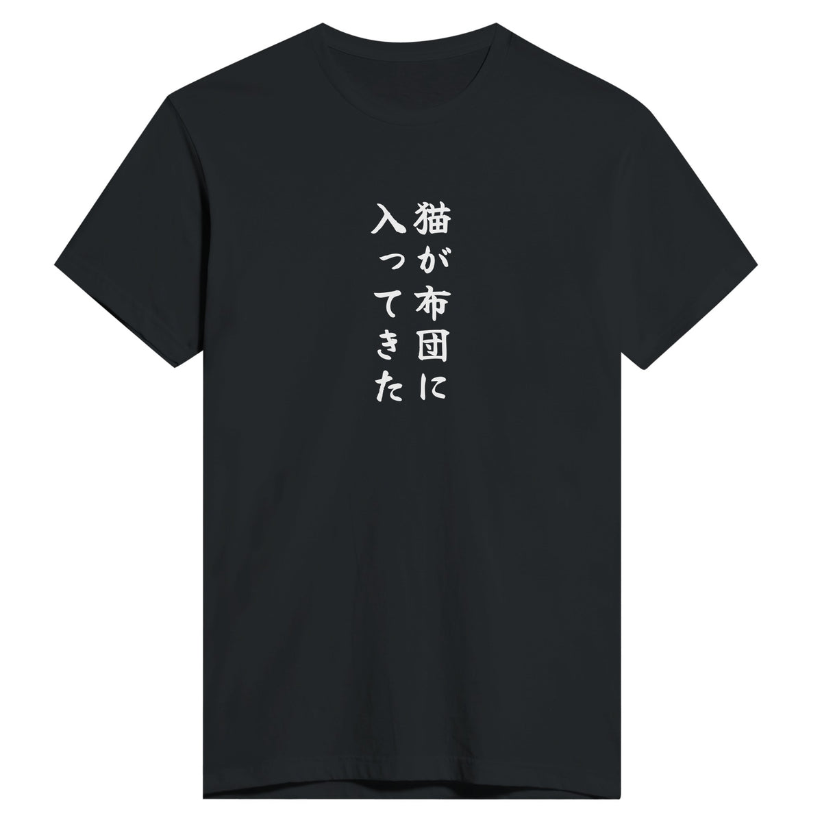 猫が布団に入ってきた もう一方のカラー